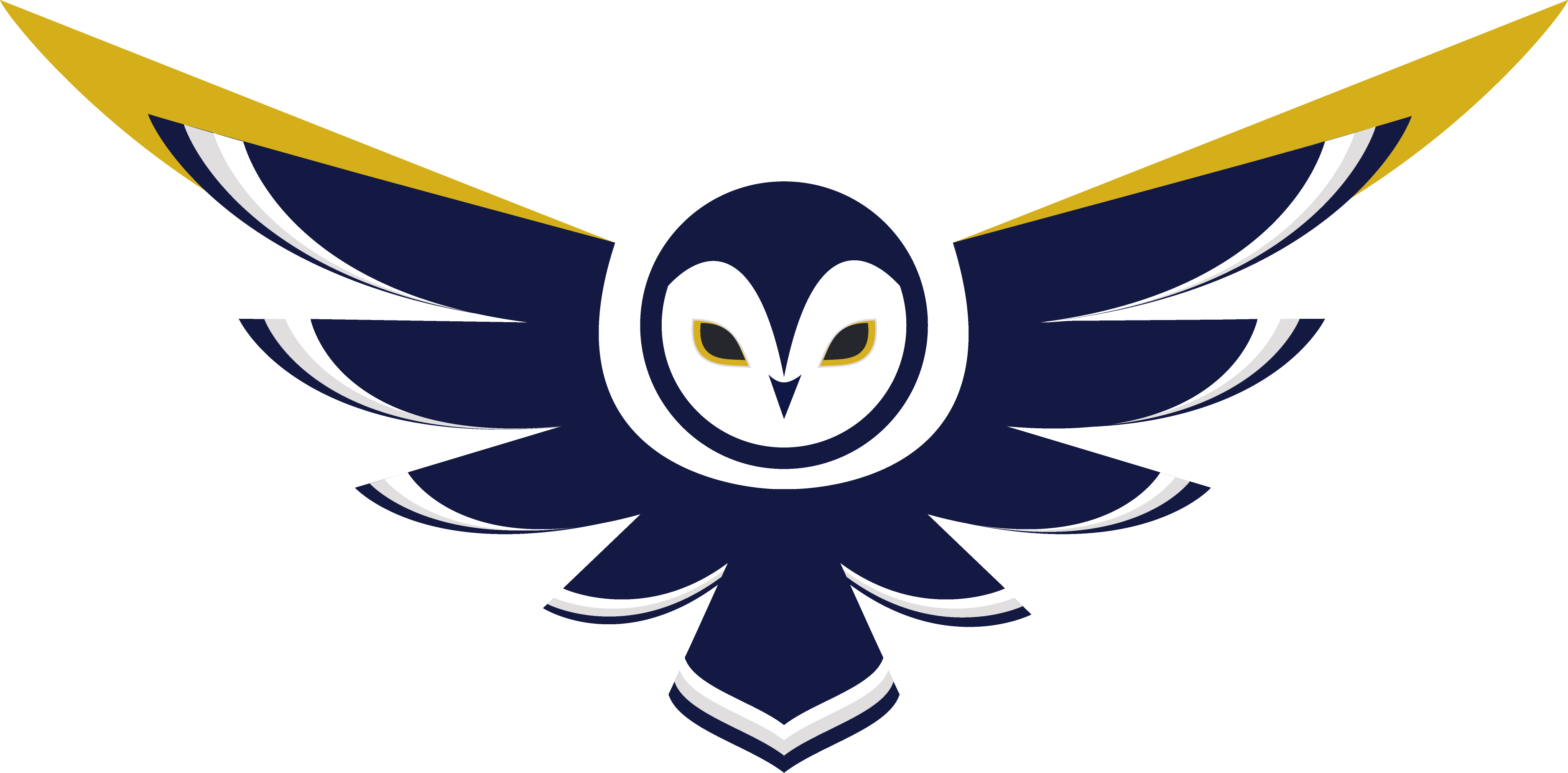 Bravo Consulting Group Main Logo Owl