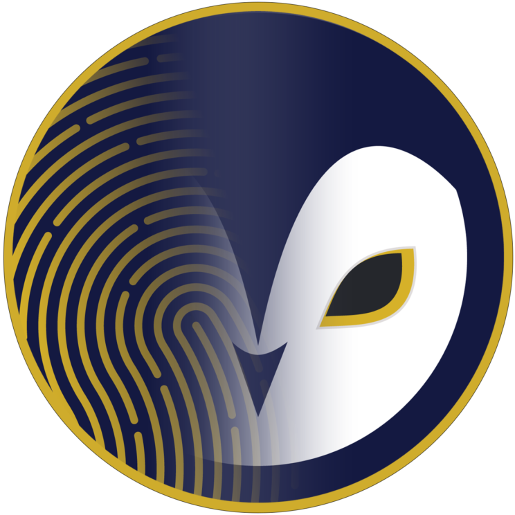 Bravo Cybersecurity & Compliance Logo